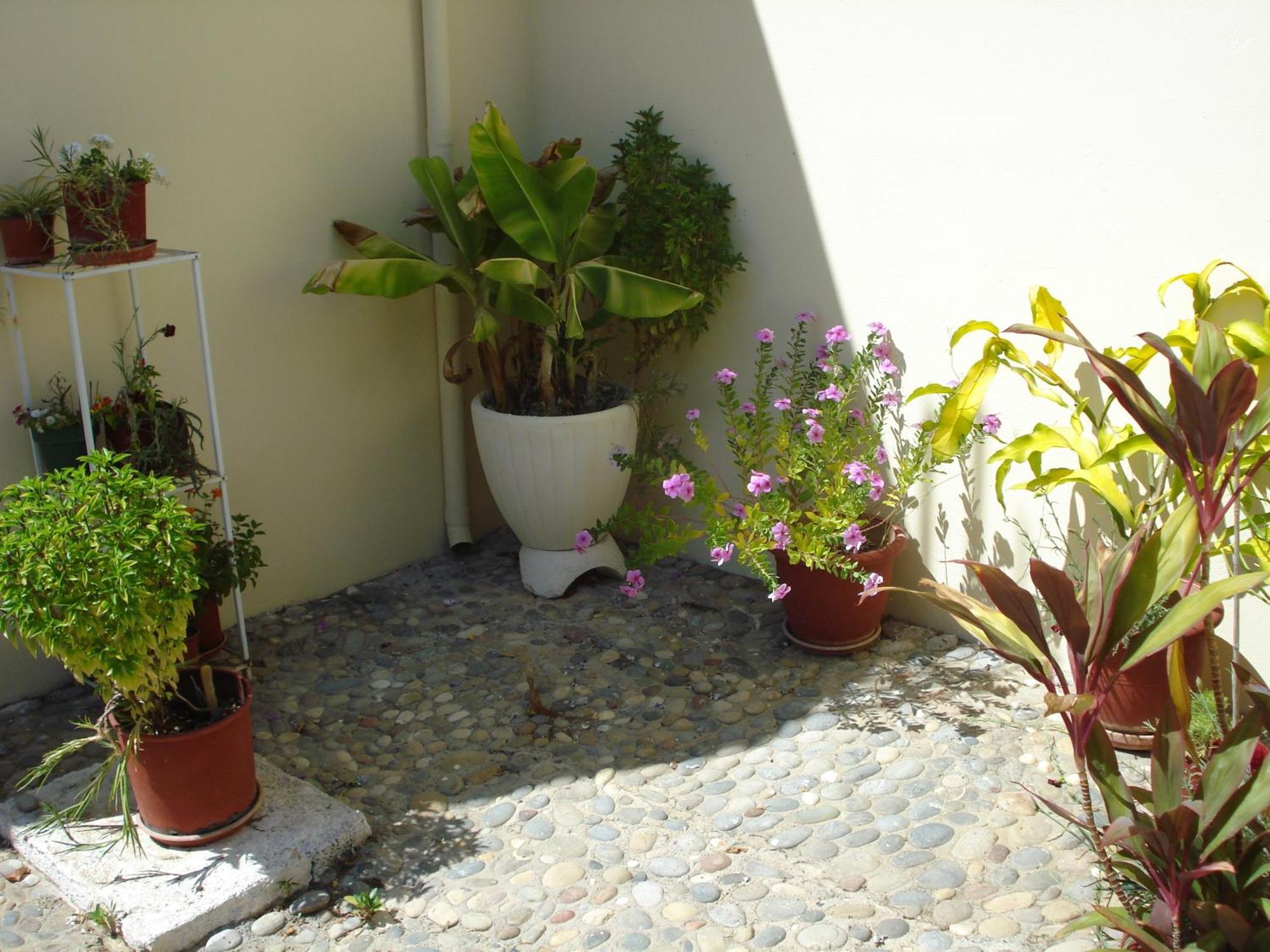 Zinovia Apartment Kato Daratso Luaran gambar